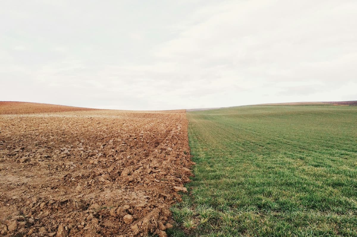 Environmental landscape showing the intersection of climate and social justice