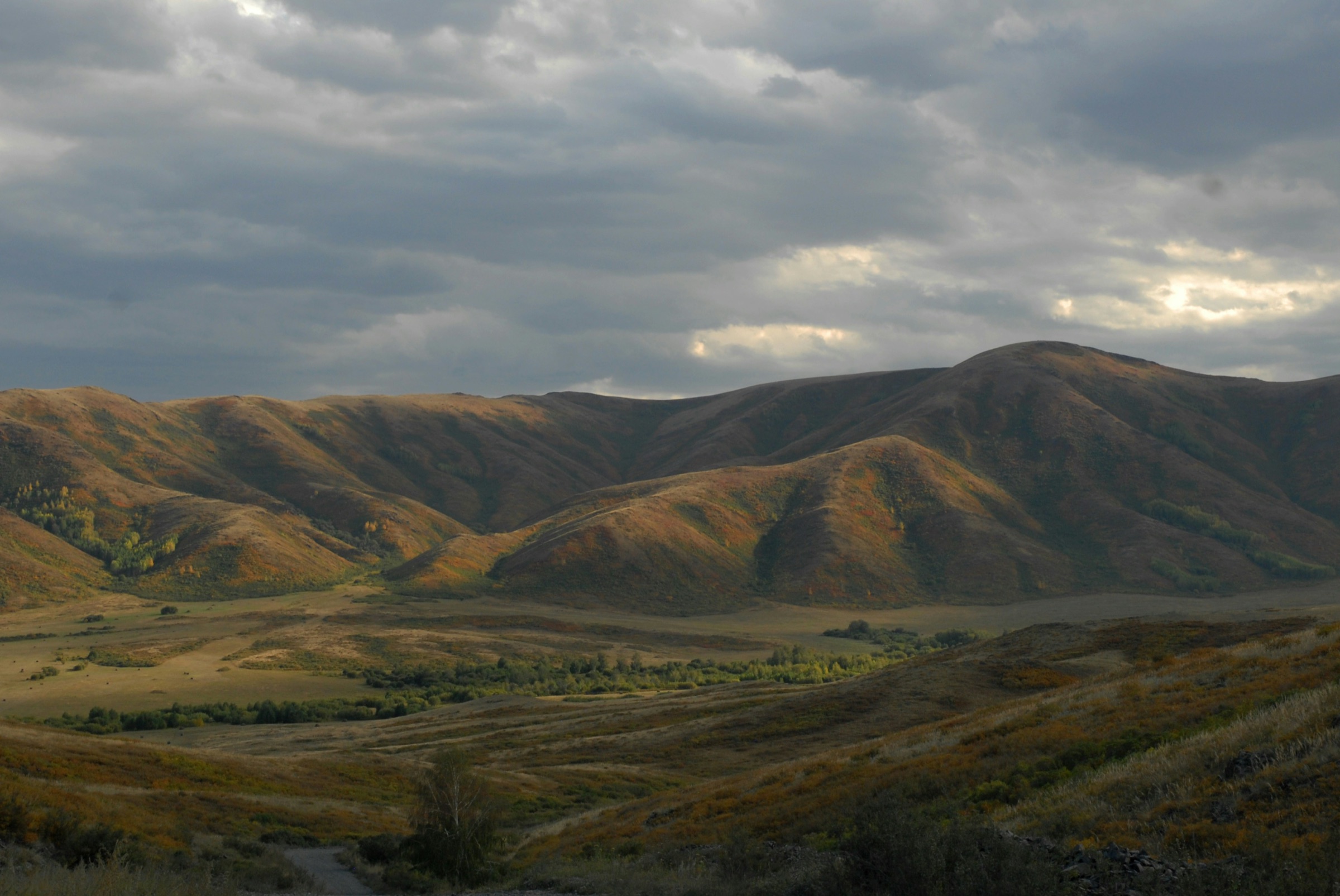 Rolling hills under a cloudy sky, with a river of trees in the valley.